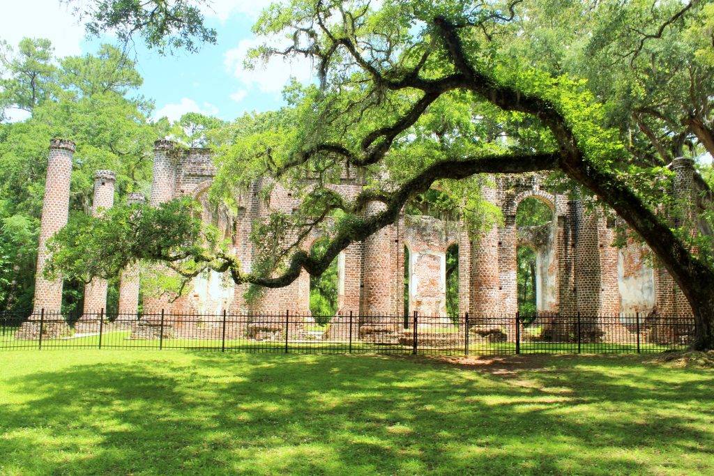 Old Sheldon Church ruins beaufort sc
brick remnants of church under mossy oaks surrounded by fence