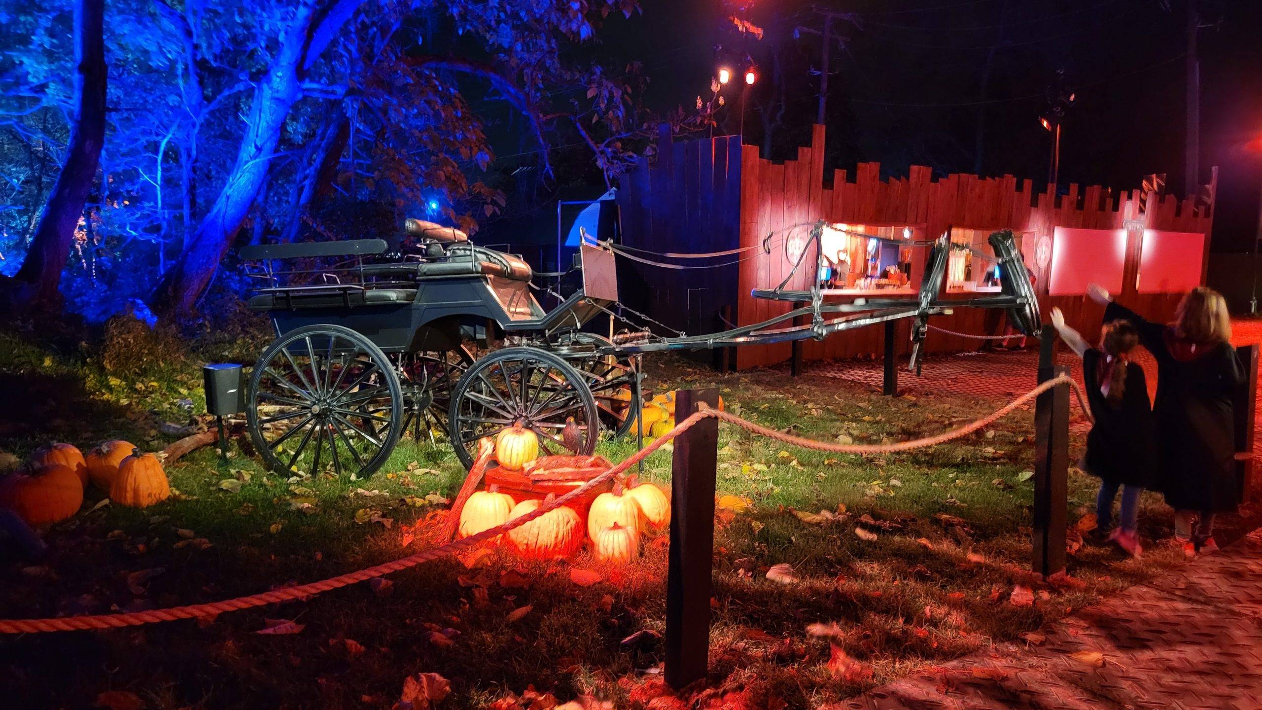 Thestral harness and carriage at Harry Potter: A forbidden forest experience