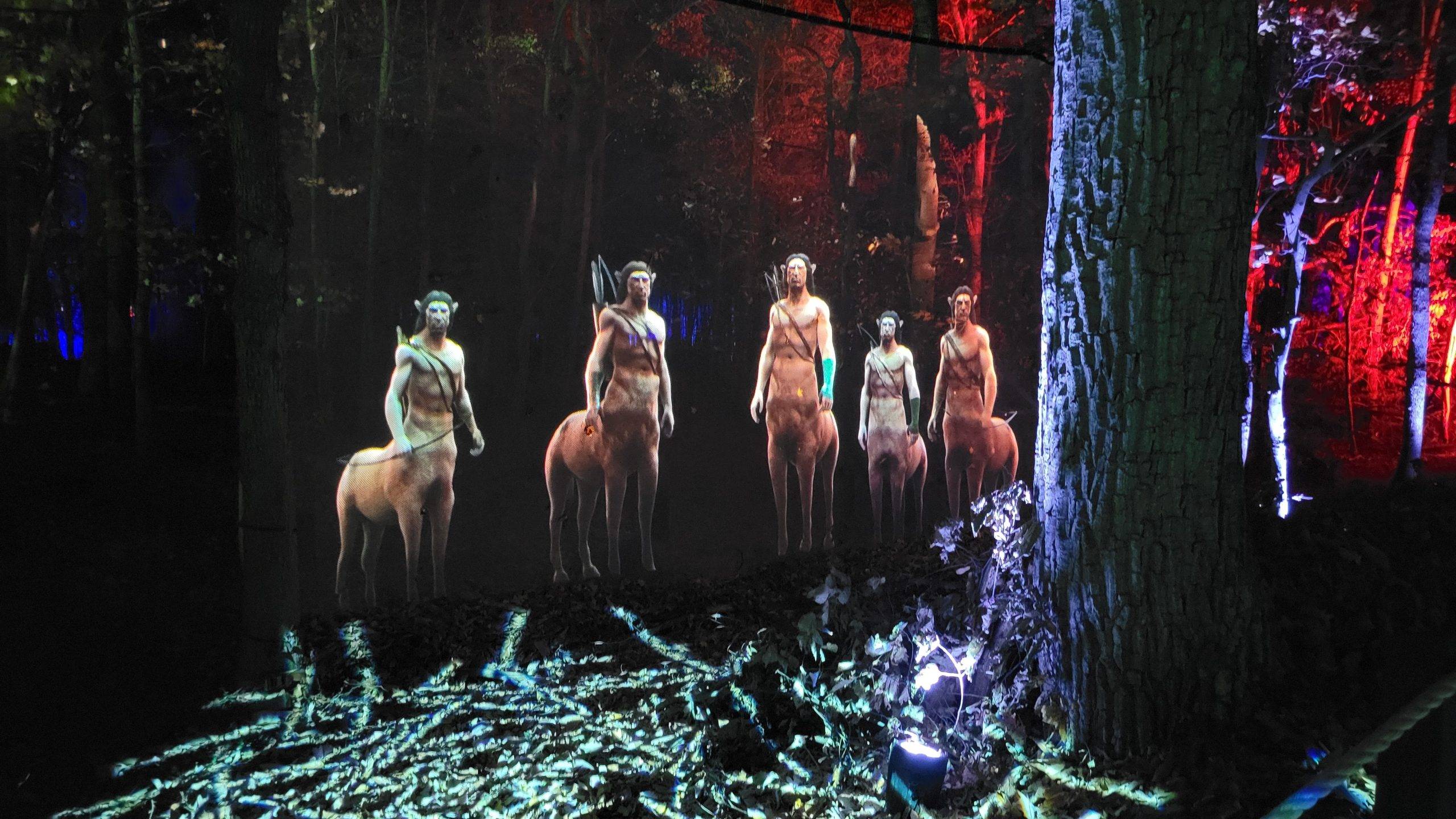 centaurs in the forbidden forest