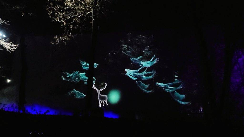 Dementors and stag patronus at Harry potter: a forbidden forest experience