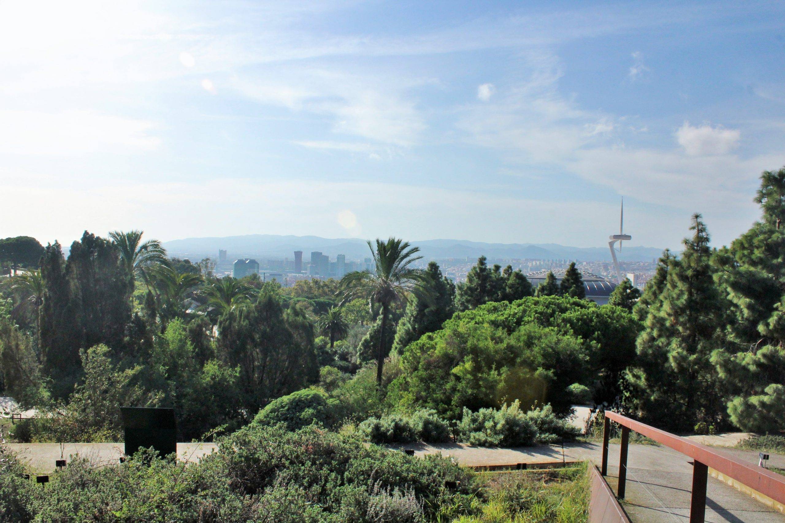 Panoramic view of Barcelona 