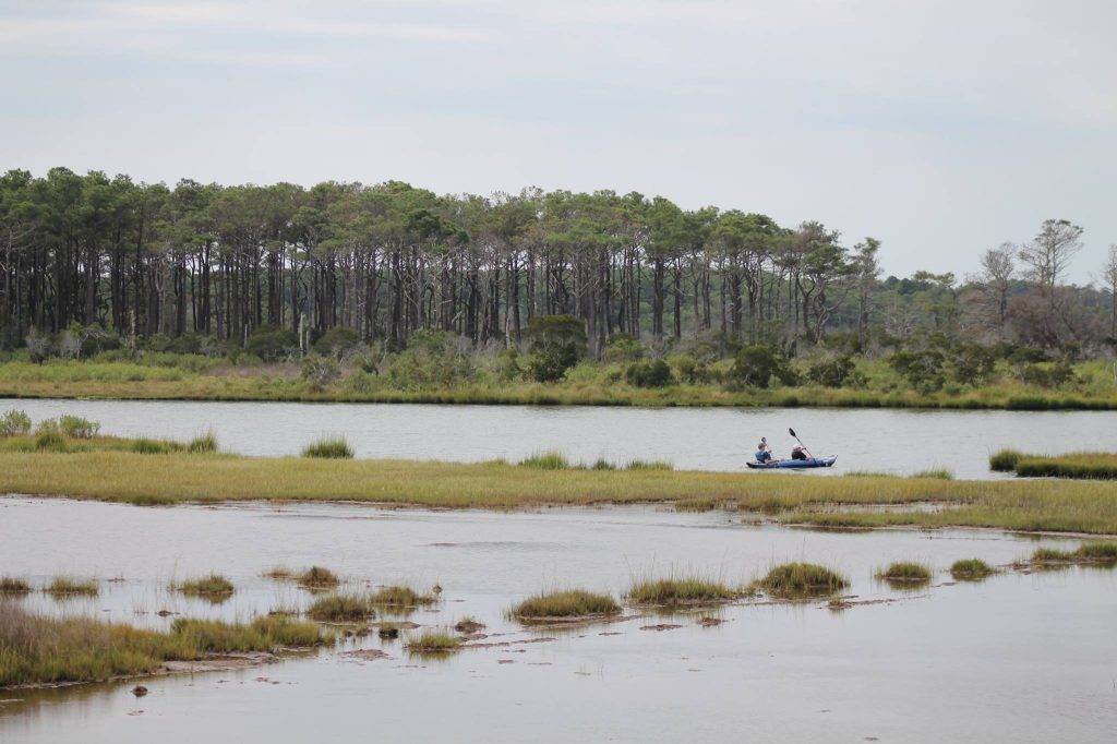 kayakers paddling in the marshy waters around Chincoteague and Assateague Island