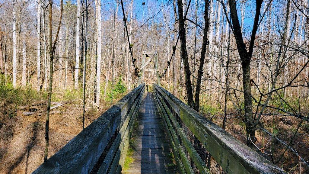 mossy bridge extending into a forest