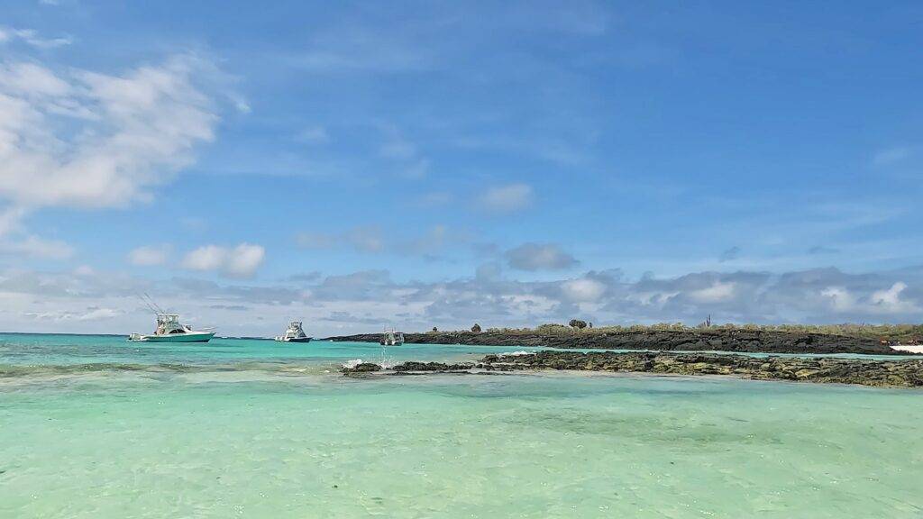 Boats docked at Bahia Rosa Blanca for a 360 Snorkeling Tour