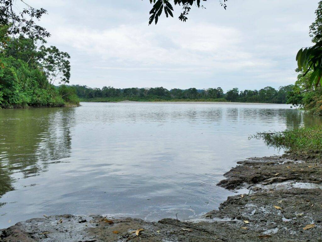 the Napo River in the Amazon