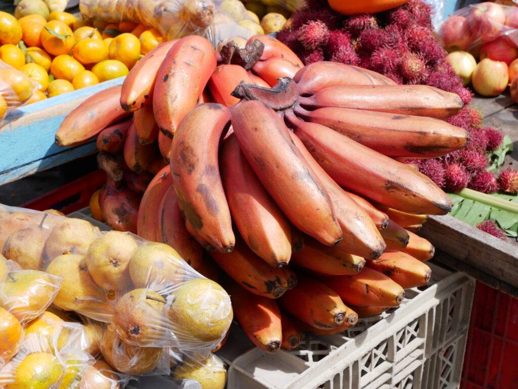 Exotic fruits at a market in ecuador