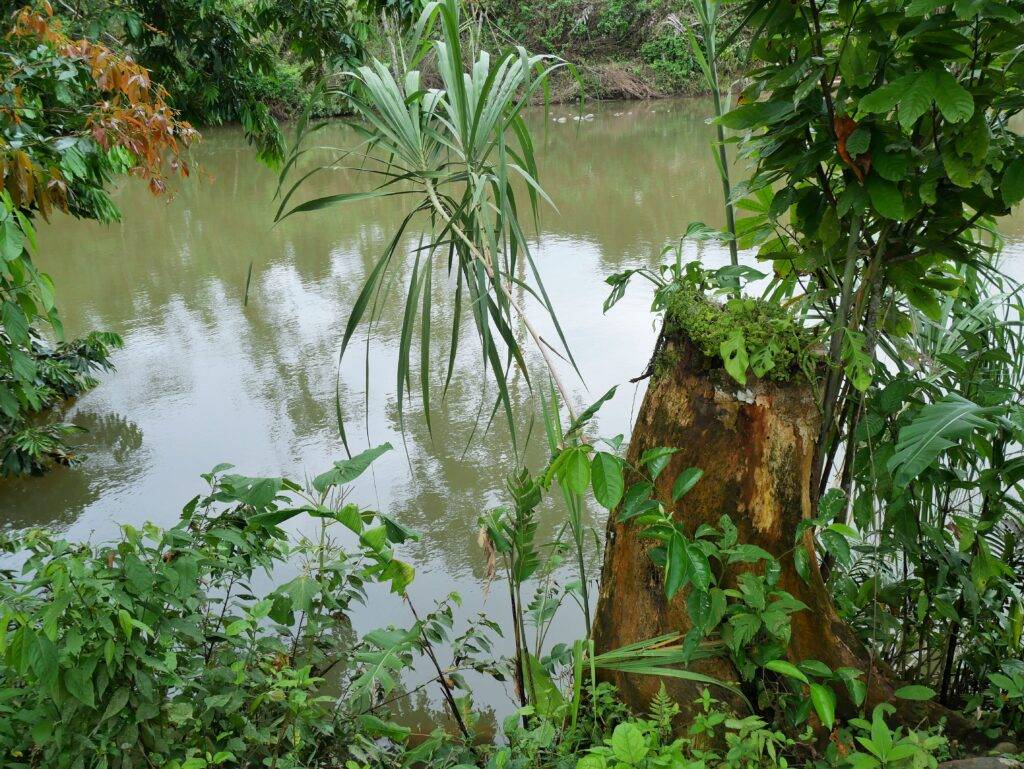 The Napo River in Tena, Ecuador