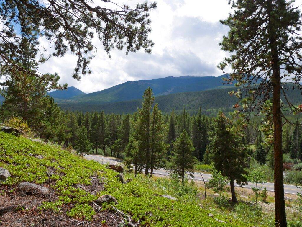 View of the bear lake corridor