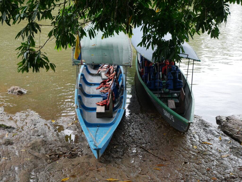 motorized canoes on the Napo River