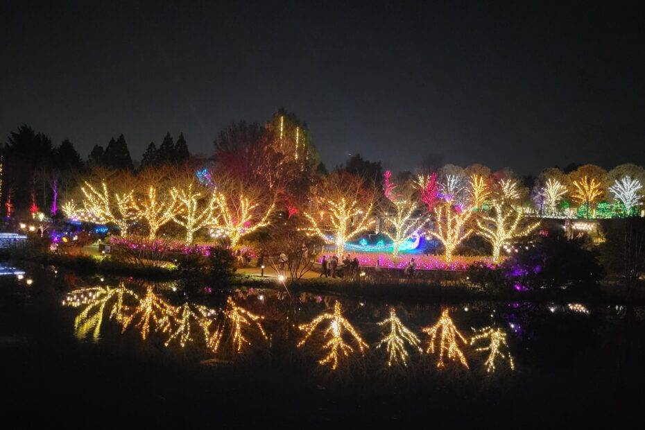 Experience the Magic: GardenFest of Lights at Lewis Ginter Botanical Garden