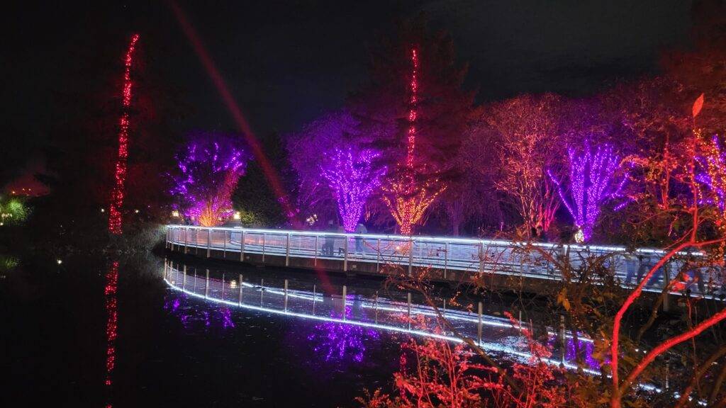 Lotus Bridge at Lewis Ginter Botanical Garden