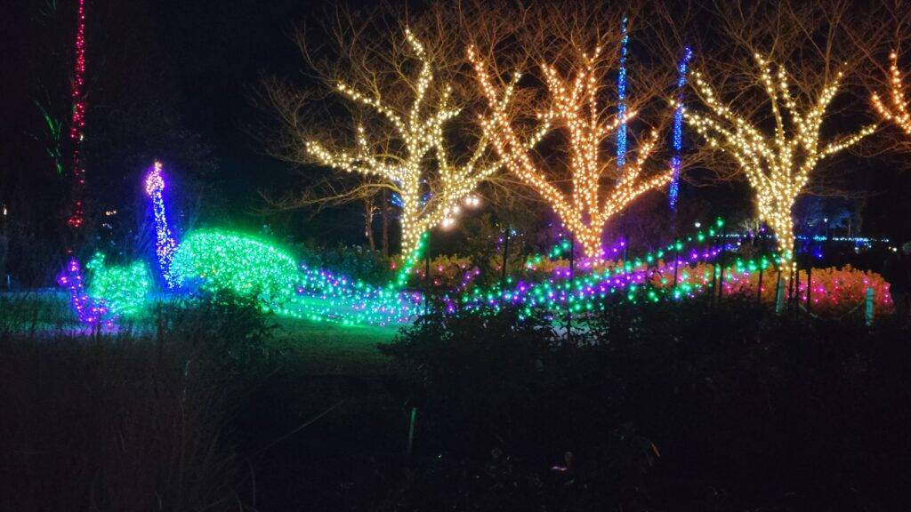 Peacock light display at GardenFest