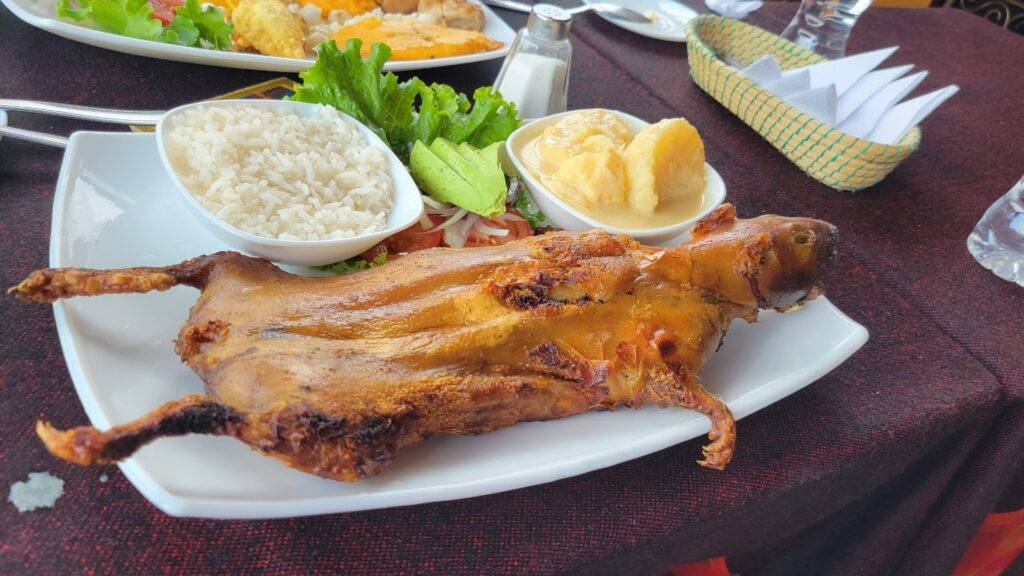 roasted guinea pig cuy traditional meal ecuador