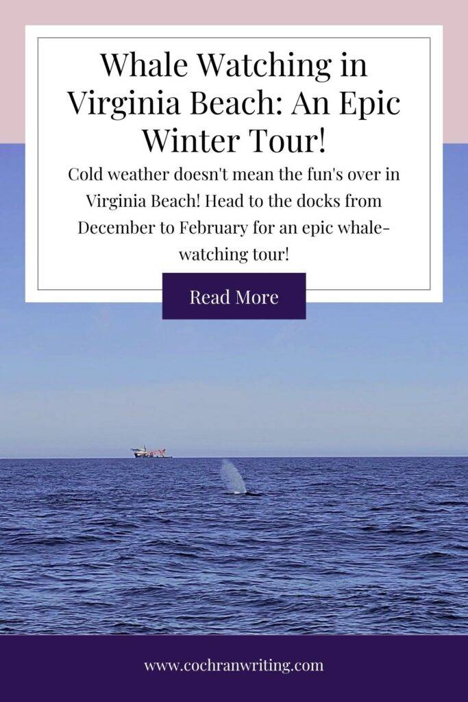 Pinterest Pin for whale watching tour in Virginia Beach with Rudee Tours