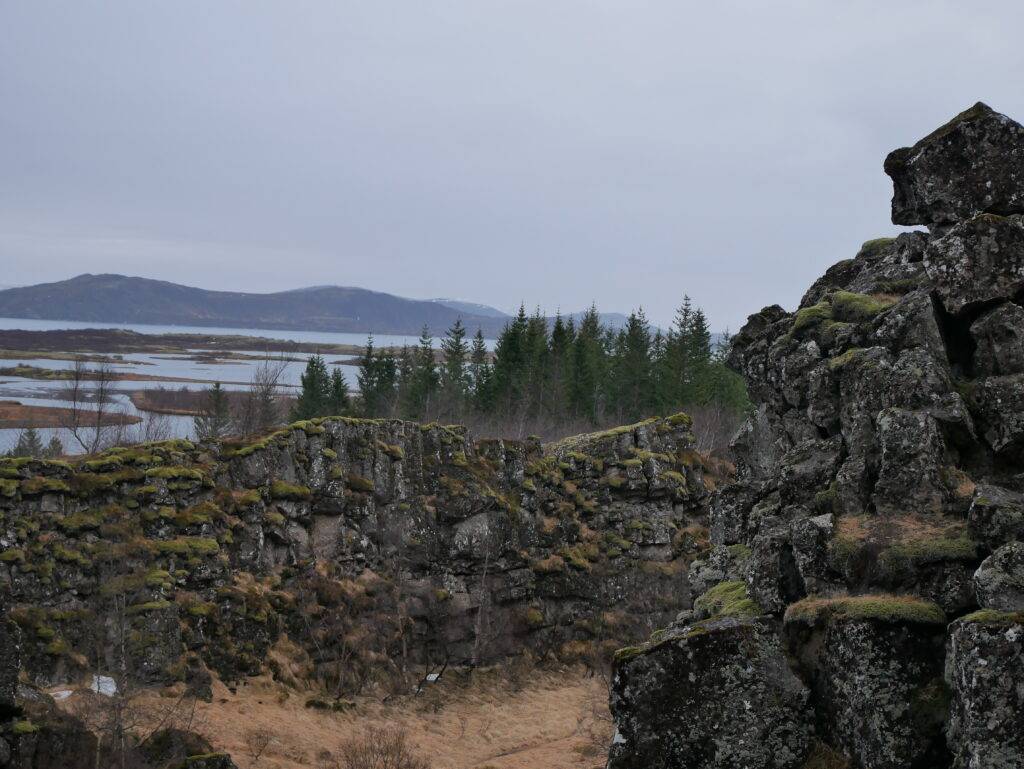 moss-covered stones at Thingvellir national park