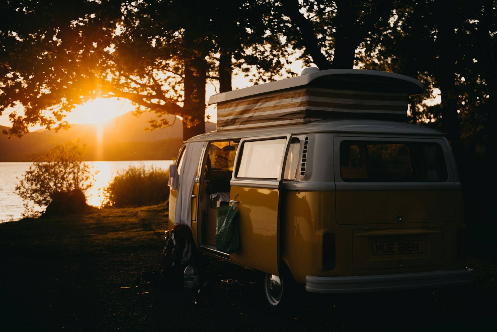 brown van under the tree during sunset RV