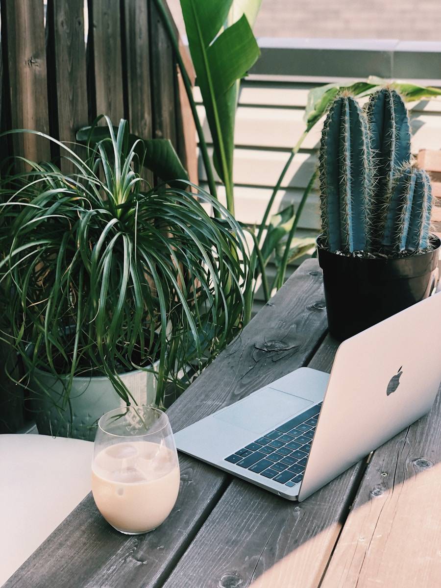 silver macbook beside green plant digital nomad setup