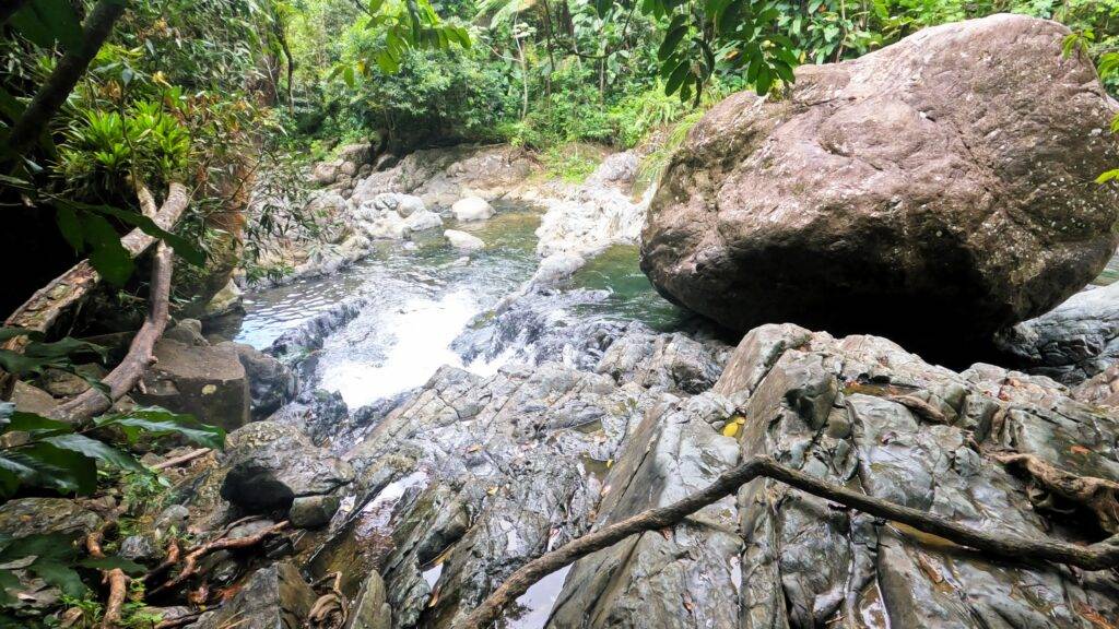 River rapids in El Yunque National Forest