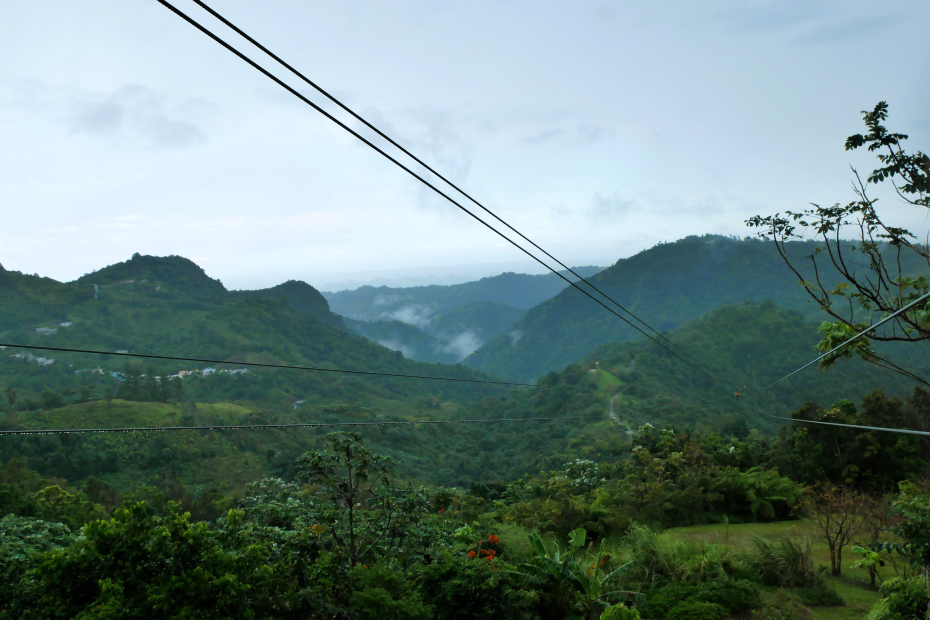 Toro Verde Adventure Park